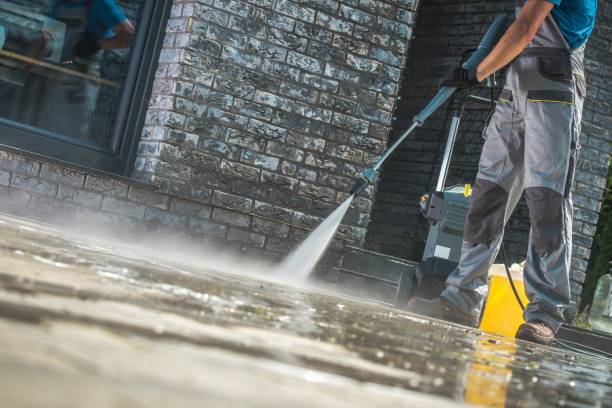 Best Sign and Awning Cleaning  in Mmaduke, AR