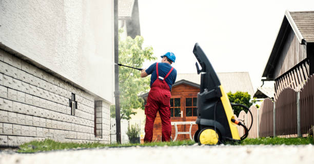 Best House Exterior Washing  in Mmaduke, AR